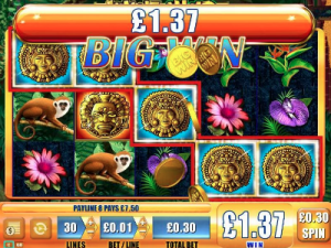 jungle wild online slot game