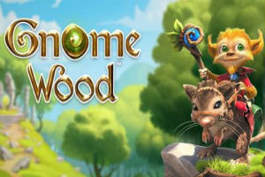 Gnome Wood Slot