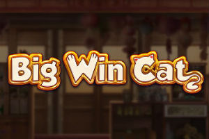 Big Win Cat Slot