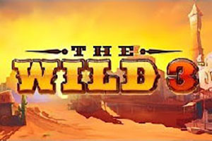The wild 3 slot