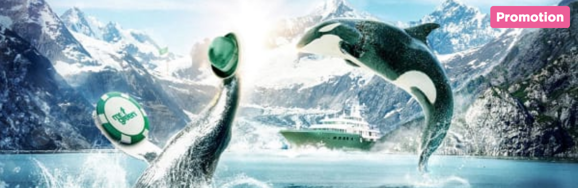 Win an All Inclusive Whale Safari at Mr Green Casino