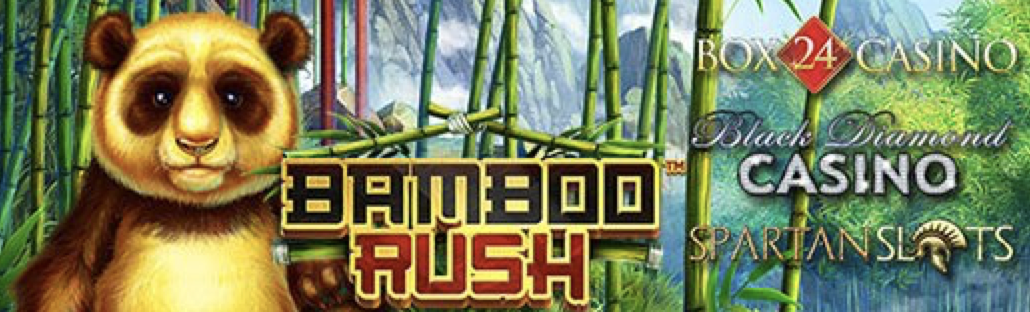 Bamboo Rush Slot from BetSoft